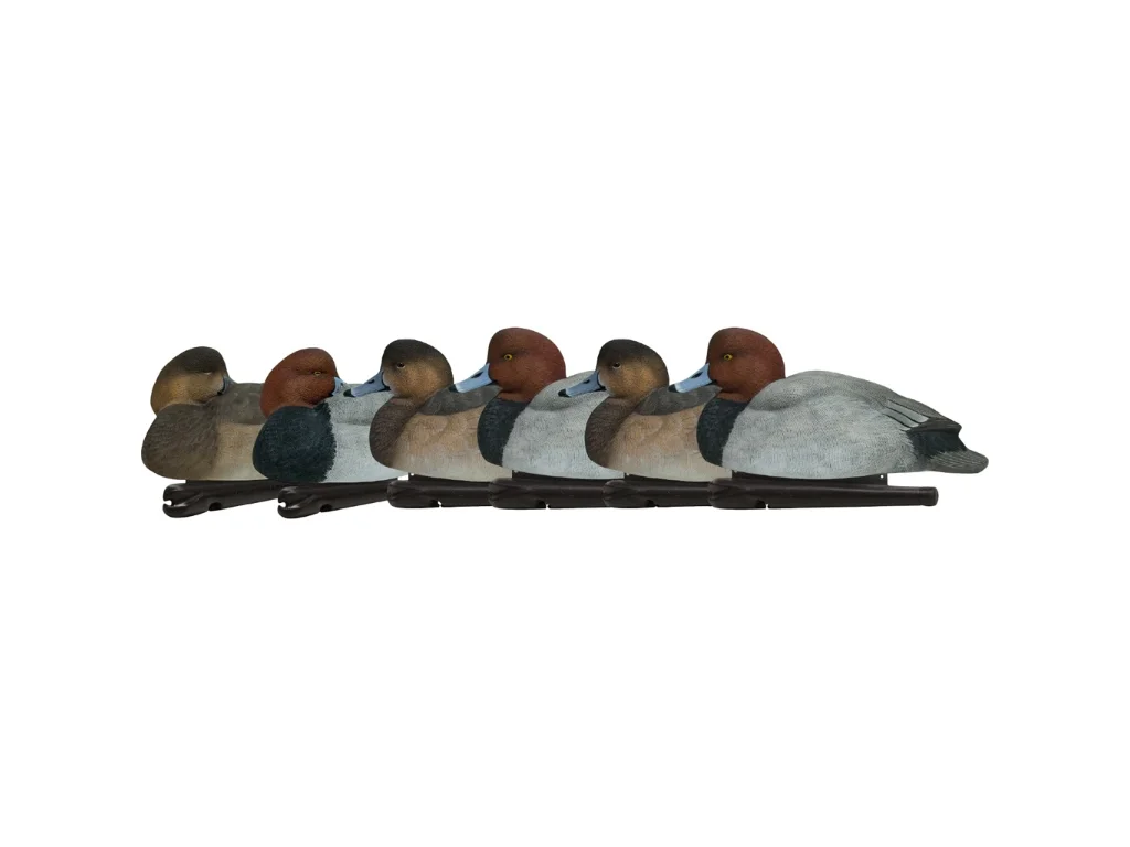 2026_06_23_1886486